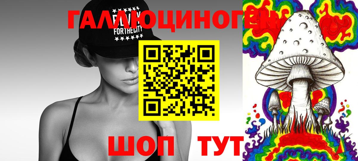 Славянск-на-Кубани  купить наркоту  Вход с VPN  Псилоцибиновые грибы Psilocybine cubensis 